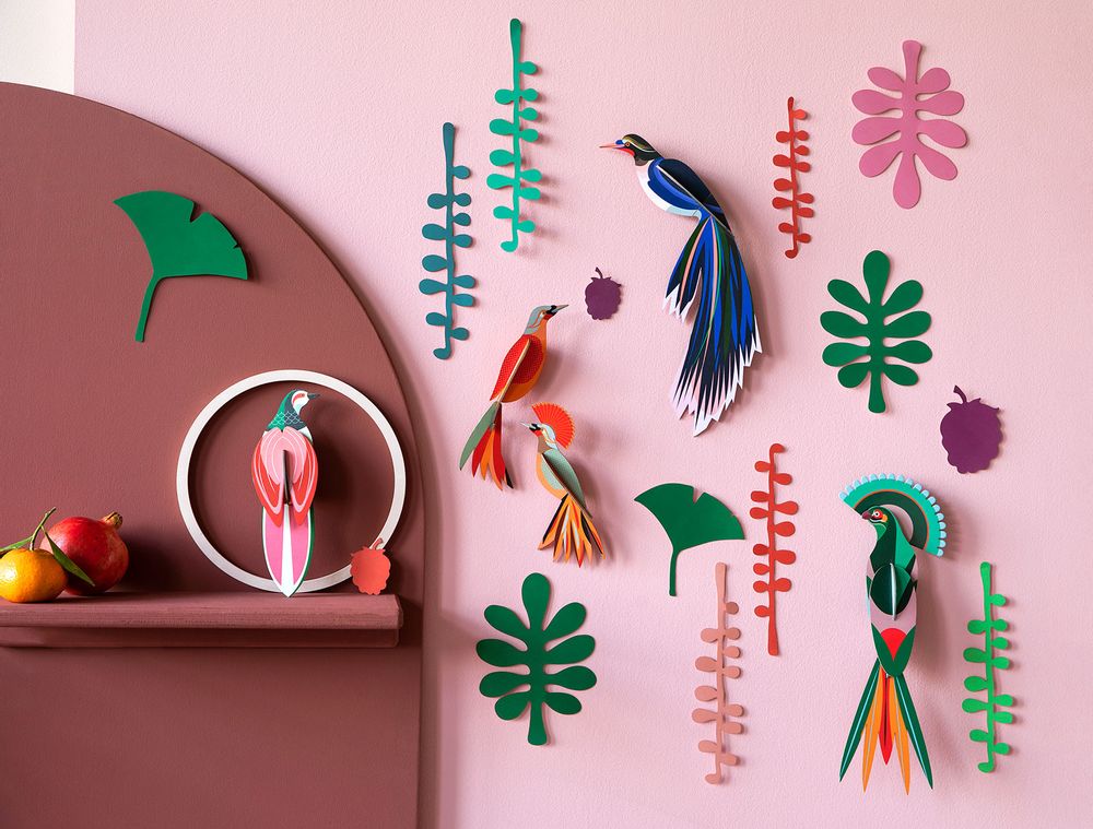 Other wall decoration - Wall of Curiosities, Bird Observer - STUDIO ROOF