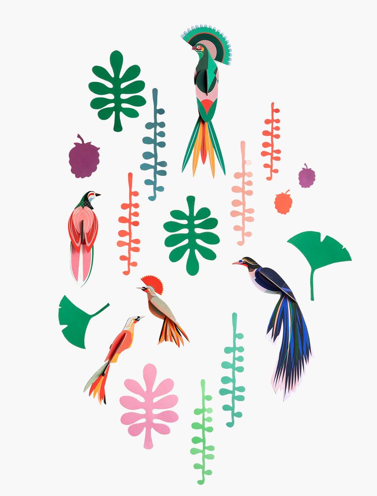 Other wall decoration - Wall of Curiosities, Bird Observer - STUDIO ROOF