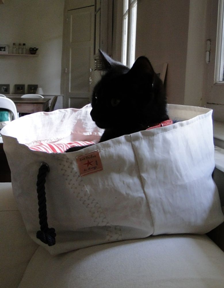 Baskets - Empty Pocket, Trash and Crate - LES TOILES DU LARGE