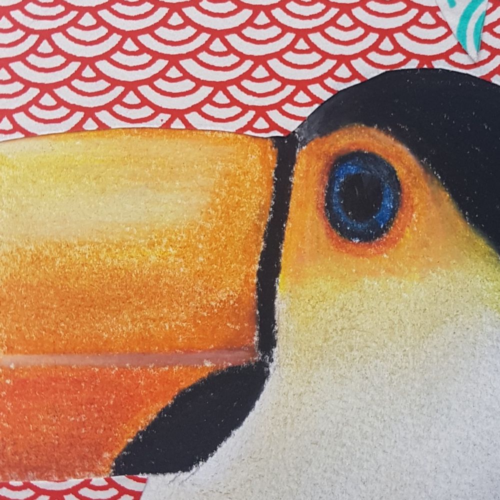 Other wall decoration - Profile of Toucan Toco — Framed drawing - L'ATELIER DES CREATEURS