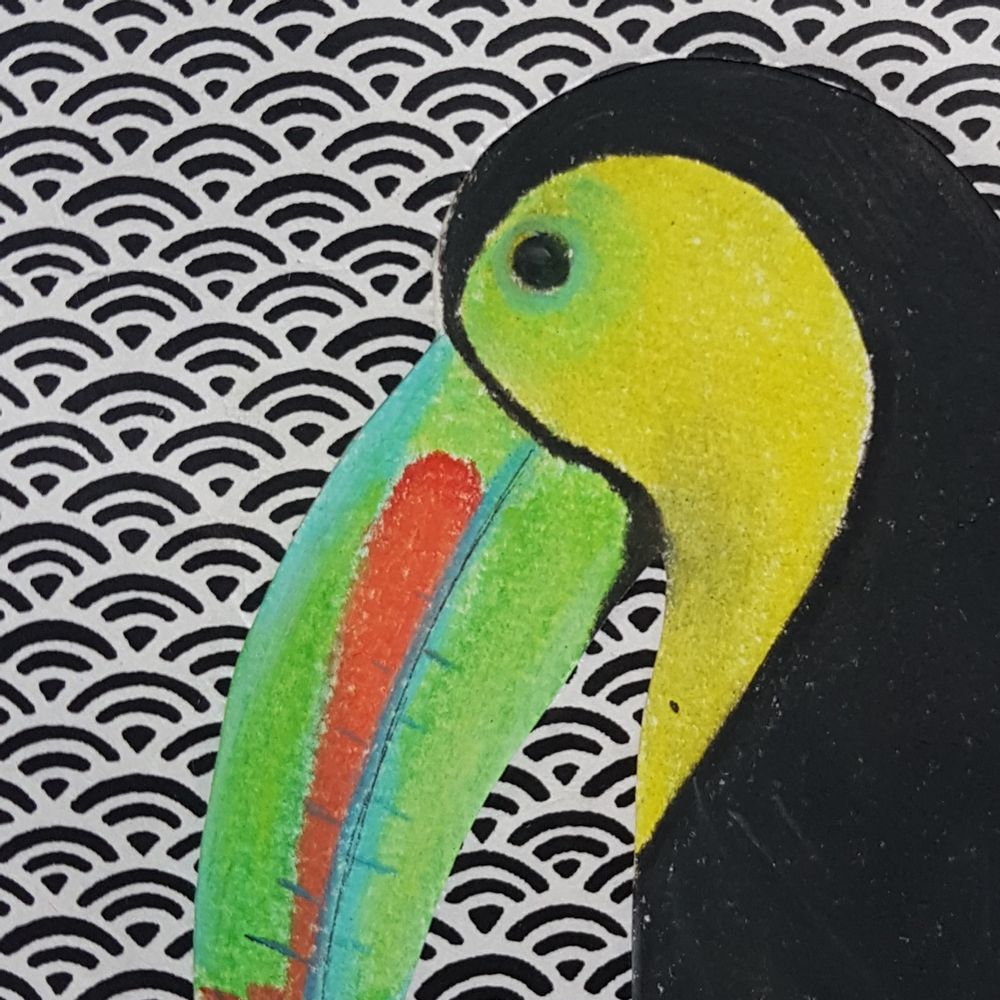 Other wall decoration - Toucan with hull — Framed drawing - L'ATELIER DES CREATEURS
