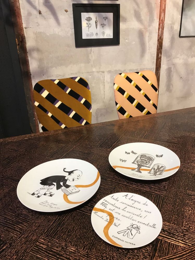 Other wall decoration - Wall installation of illustrated plates CURIOSITE - VERONIQUE JOLY-CORBIN