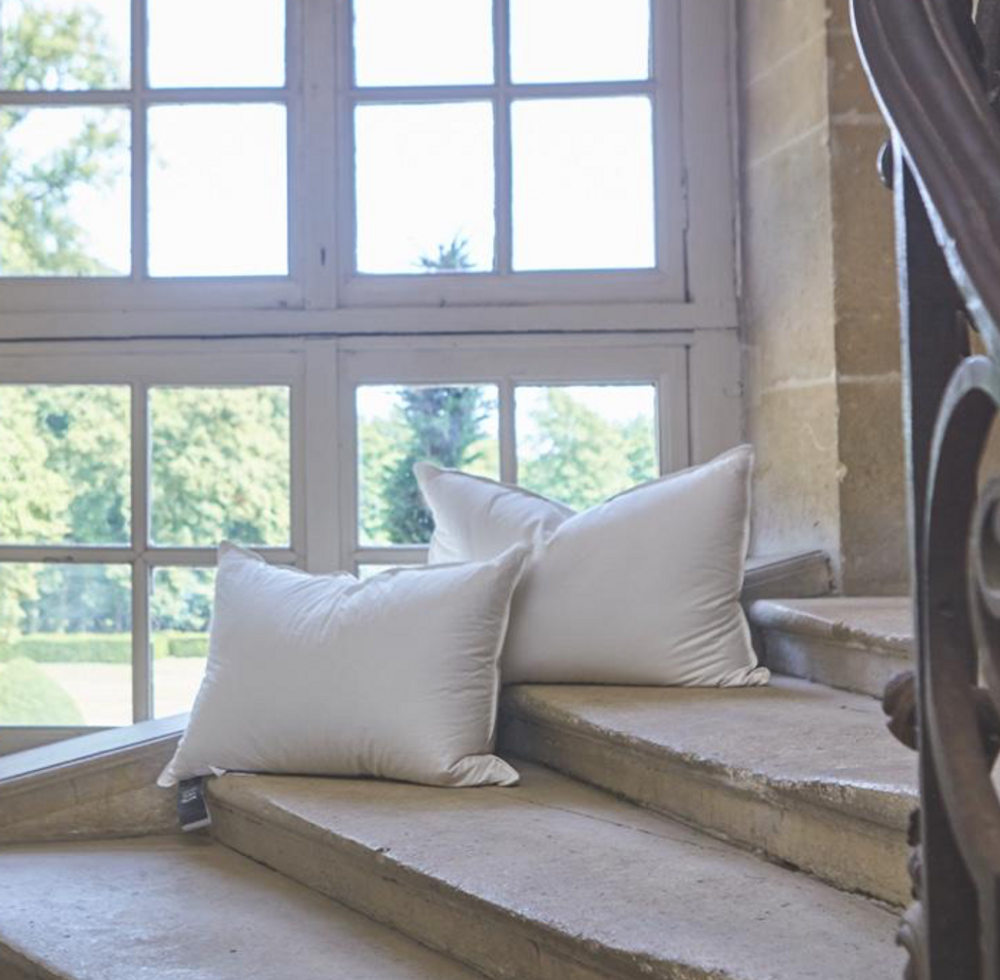 Couettes et oreillers - Oreiller duvet d'oie - CROWN GOOSE