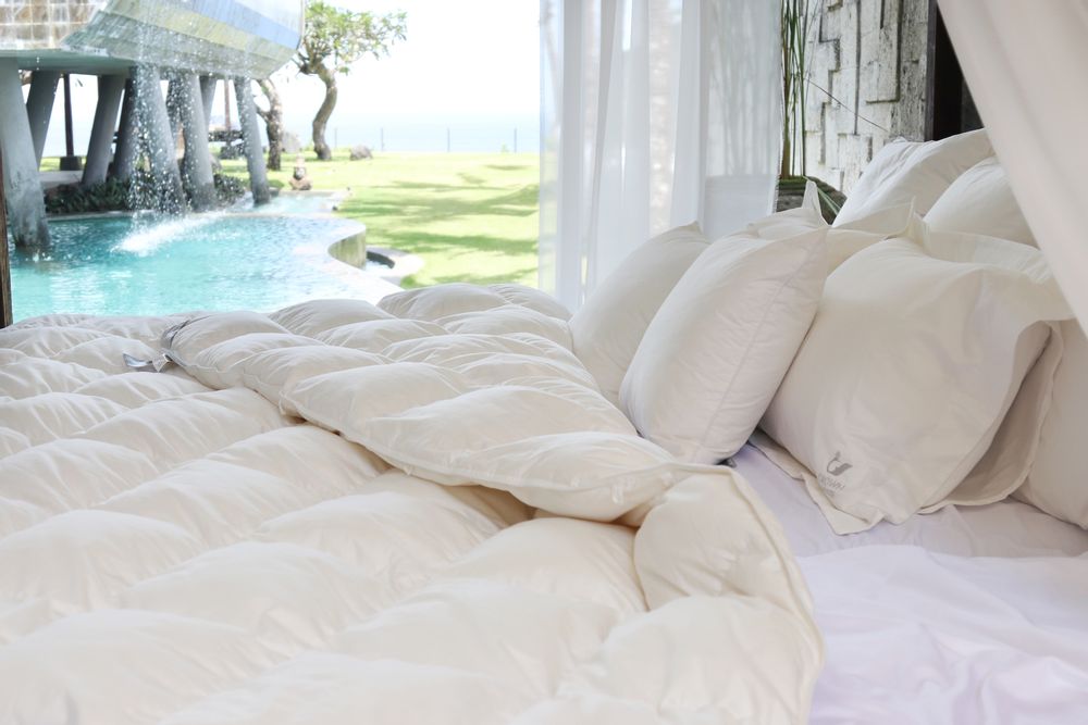 Couettes et oreillers - duvet d'oie d'Europe - King King, 1100 g (chaud) - CROWN GOOSE