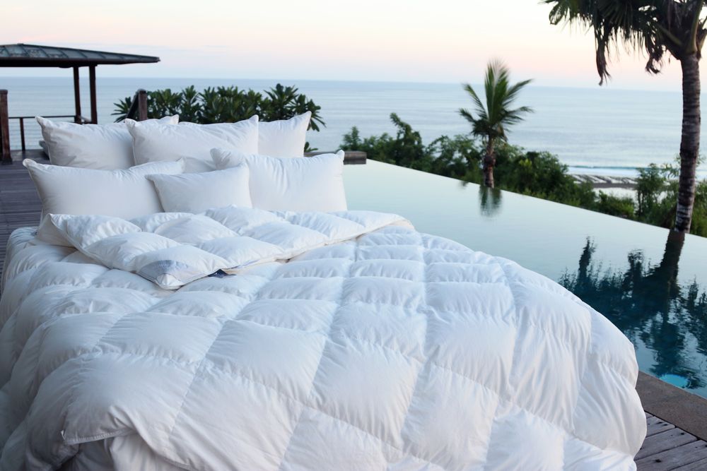 Literie pour hôtels - Couette en duvet d'oie d'Europe - Queen - 350 g - CROWN GOOSE