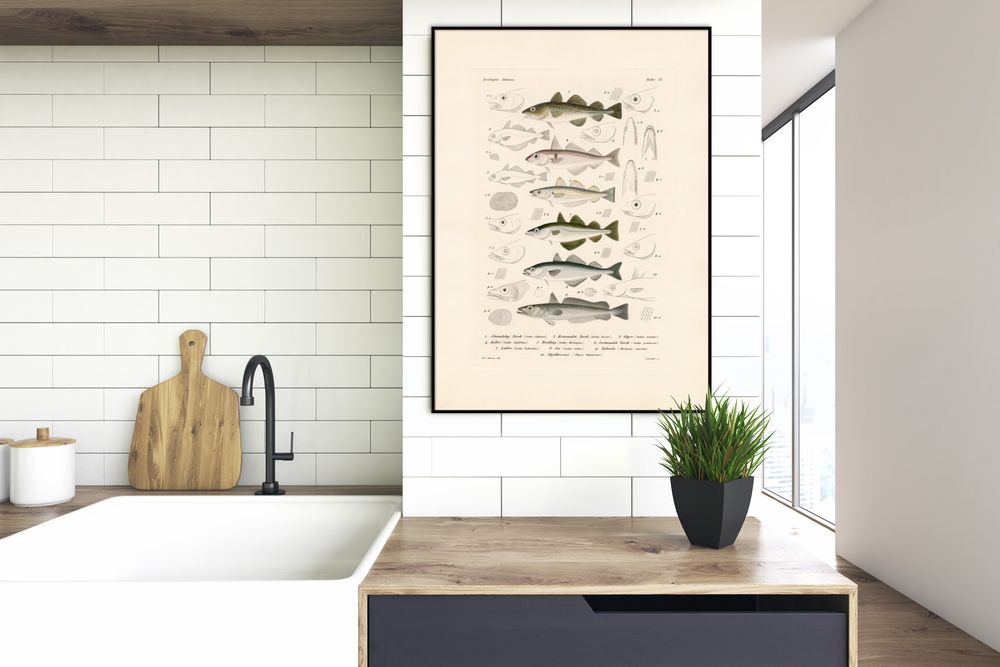Poster - Poster. Zoologia Danica. Fiske IX. - THE DYBDAHL CO.