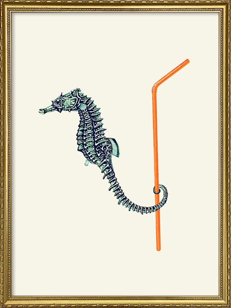 Poster - Poster Sea horse. - THE DYBDAHL CO.