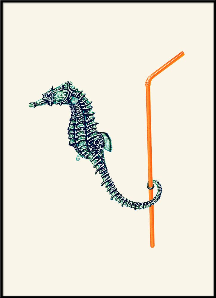 Poster - Poster Sea horse. - THE DYBDAHL CO.