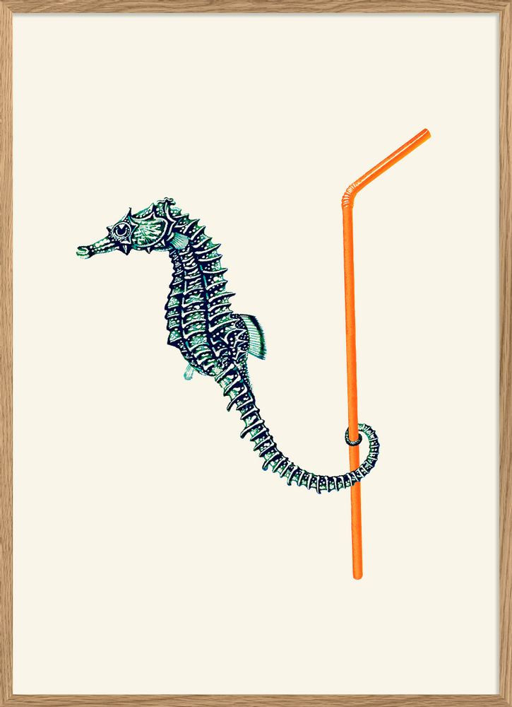 Poster - Poster Sea horse. - THE DYBDAHL CO.
