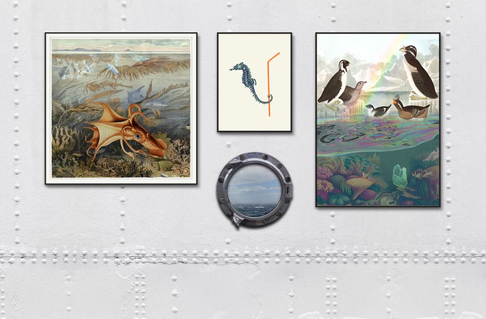 Poster - Poster. Sea birds. - THE DYBDAHL CO.