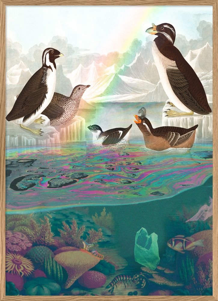 Poster - Poster. Sea birds. - THE DYBDAHL CO.