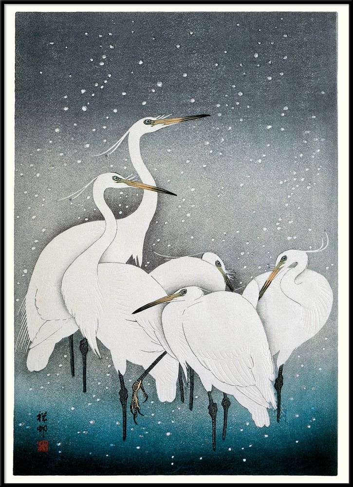Poster - Poster. Snowy Heron. - THE DYBDAHL CO.