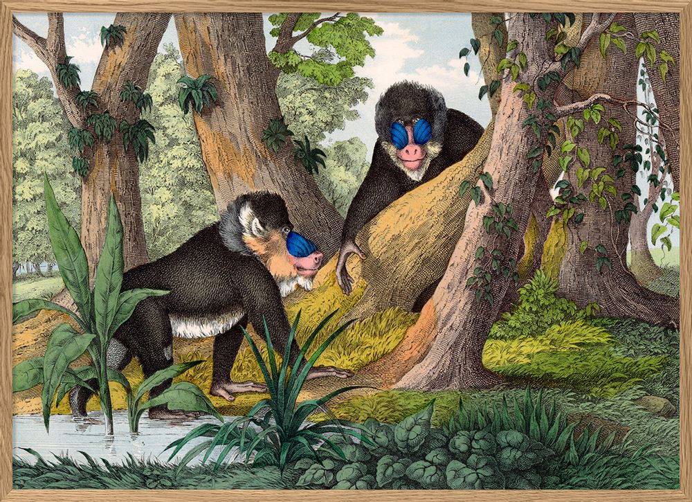 Children's bedrooms - Poster. Mandrill. - THE DYBDAHL CO.