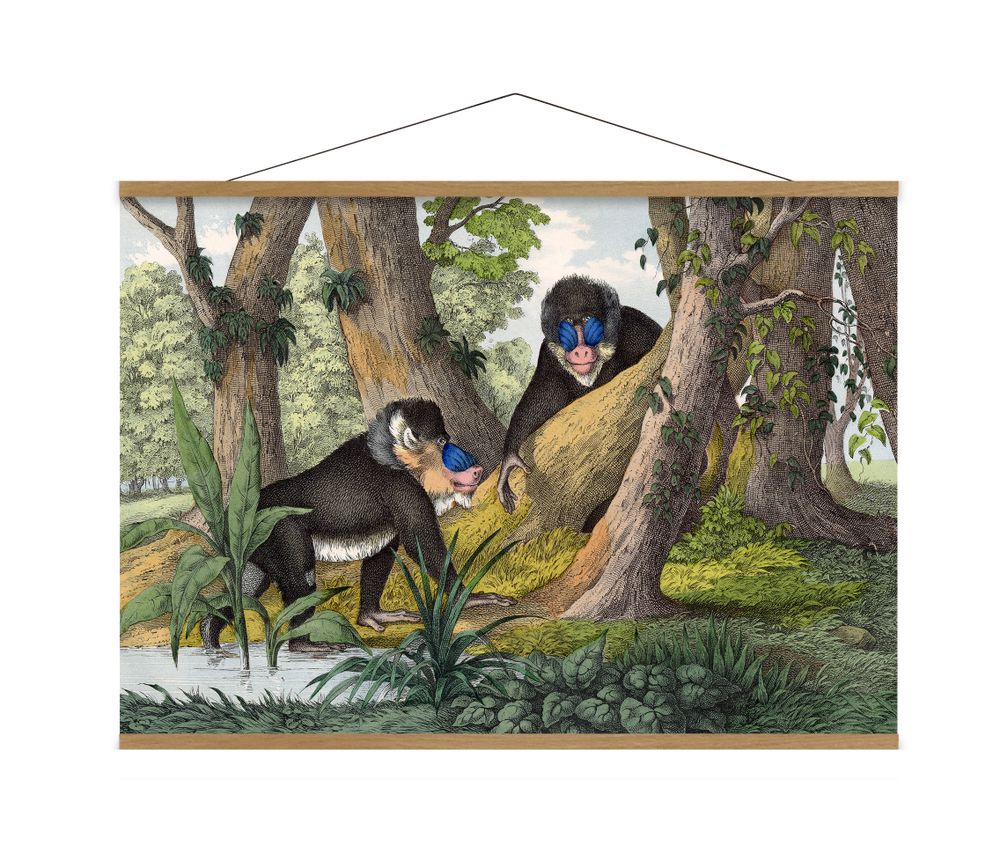 Children's bedrooms - Poster. Mandrill. - THE DYBDAHL CO.