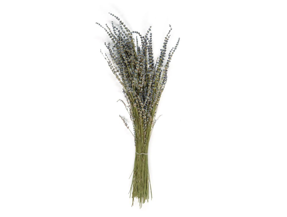 Décorations florales - Lavanda bouquet naturel de fleurs séchées 80 gr AX21028 - ANDREA HOUSE