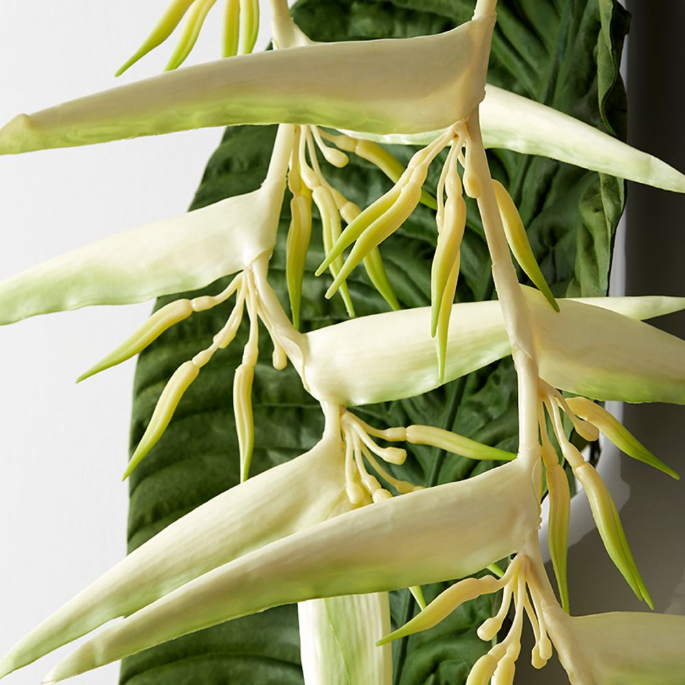 Floral decoration - Vases bottle and heliconia - LOU DE CASTELLANE - Artificial flowers more true than nature - LOU DE CASTELLANE