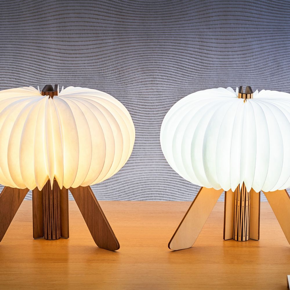 Autres objets connectés  - R Space Lampe de bureau - GINGKO