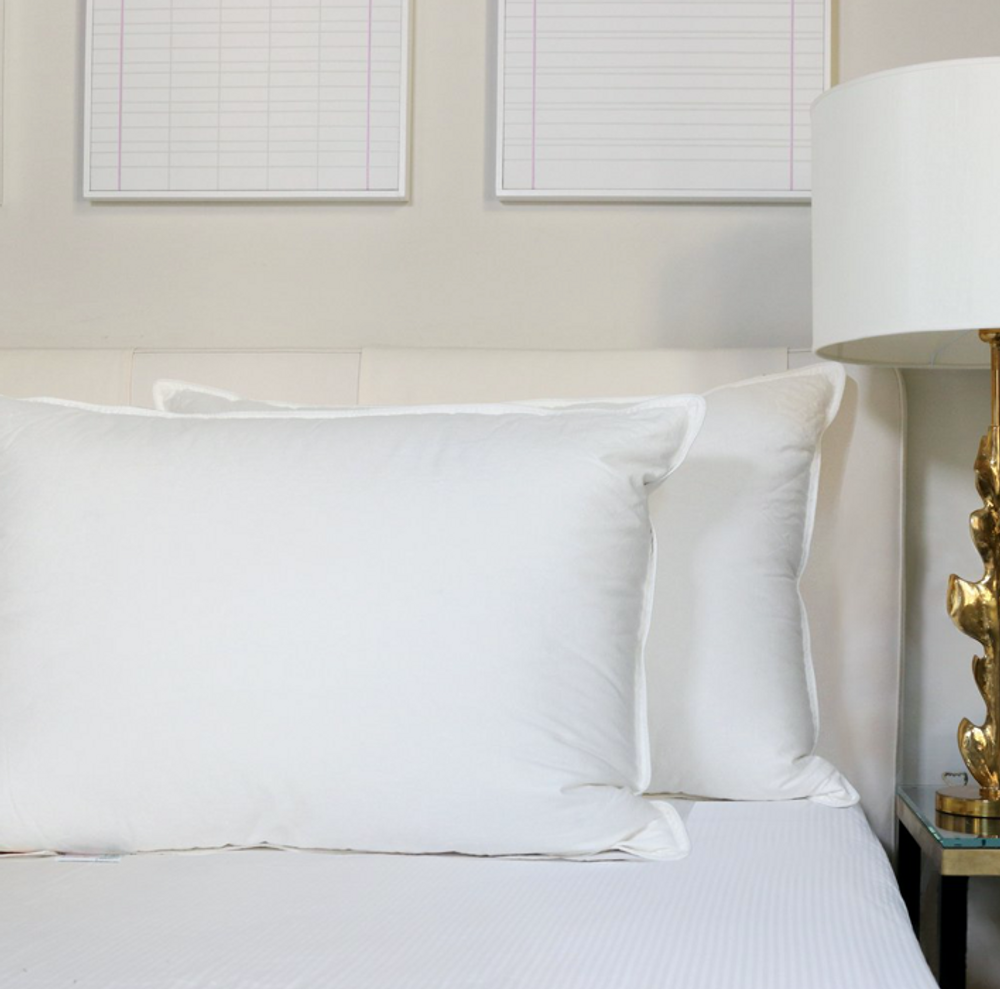 Coussins - Coussinet d'oreiller standard en duvet - Ensemble de 2 - CROWN GOOSE