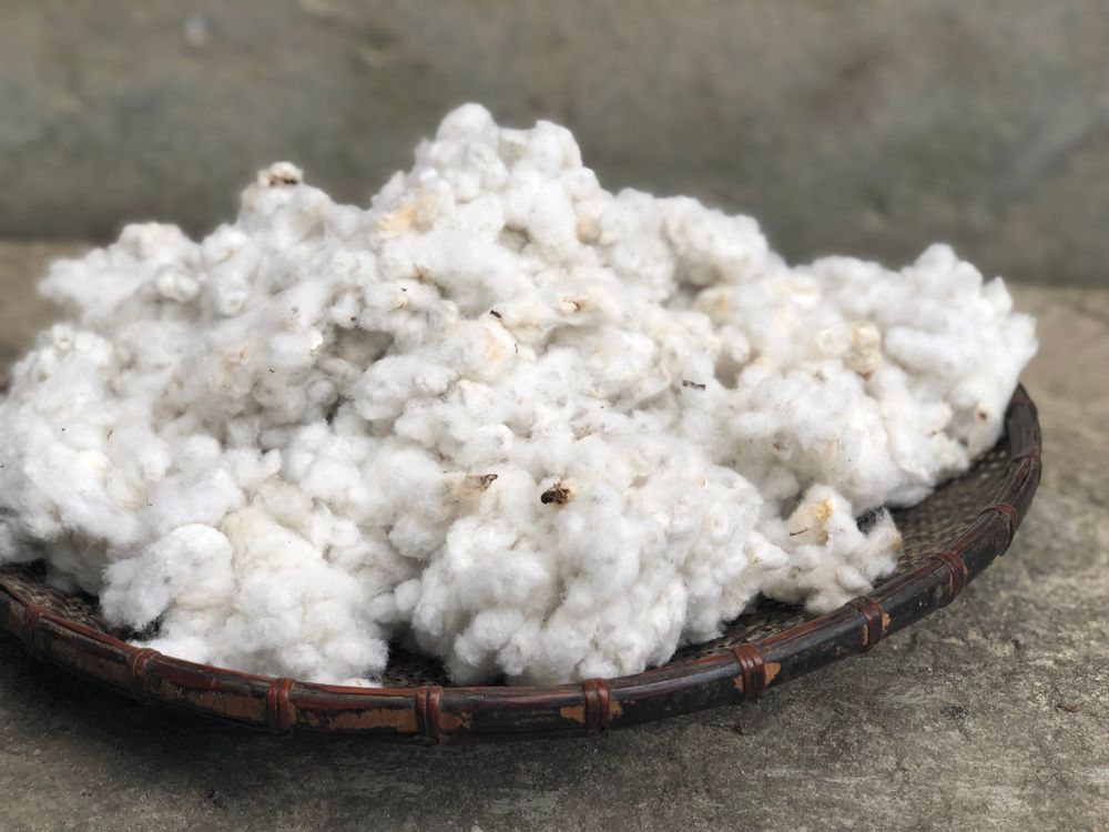 Coussins textile - Plaid THONGSA BLANC - BHUTAN TEXTILES