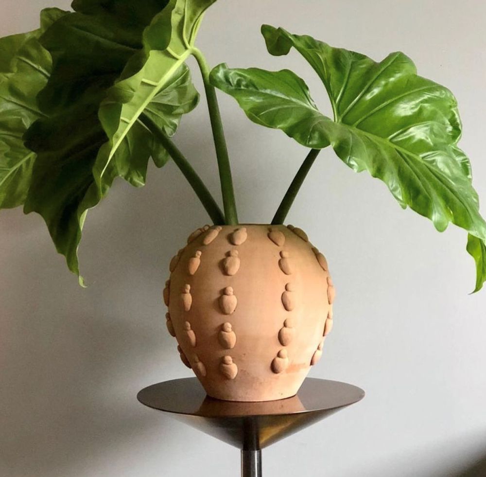 Vases - Caju Vase - SOMOSDESIGN