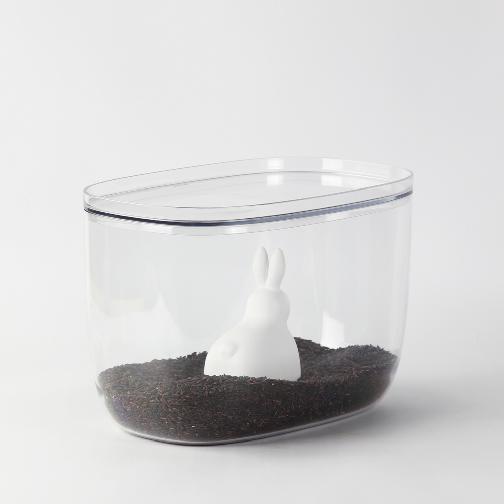 Bols - Bouteille et cuillère à riz Bella Bunny - Ustensiles de cuisine : Salière et poivrière aux épices Cactus salle à manger et vaisselle - QUALY DESIGN OFFICIAL