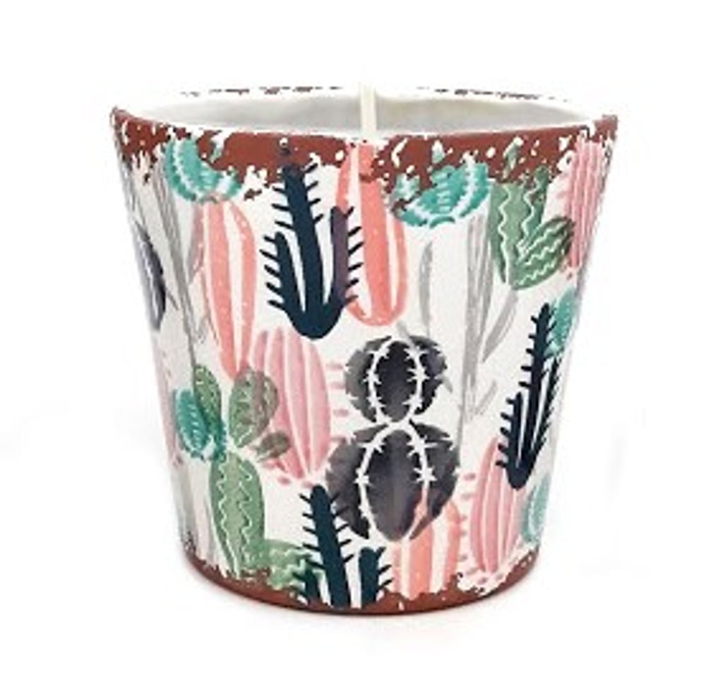 Bougies - Cactus Collection Bougies parfumées en céramique - WAX DESIGN - BARCELONA