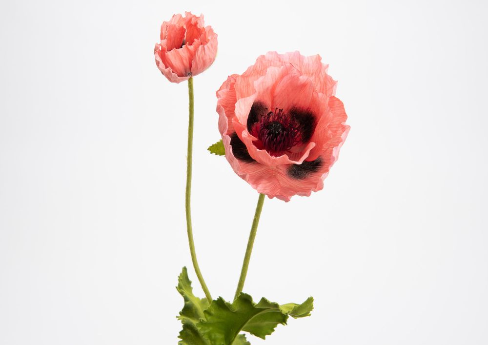Décorations florales - Coquelicot pizzicato- LOU DE CASTELLANE - Fleurs artificielles plus vraies que nature  - LOU DE CASTELLANE
