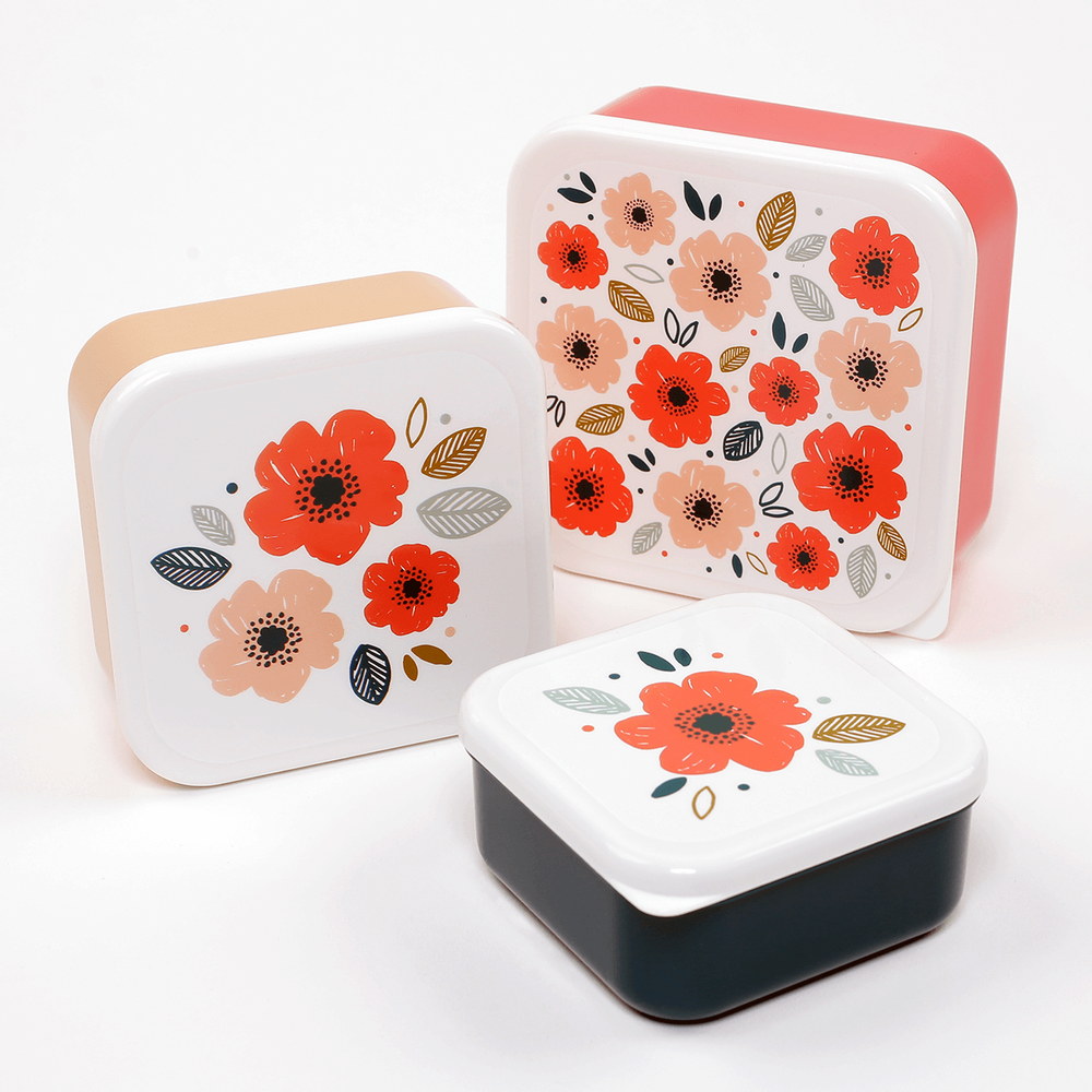 Food storage - Lunch Boxes - PUCKATOR LTD