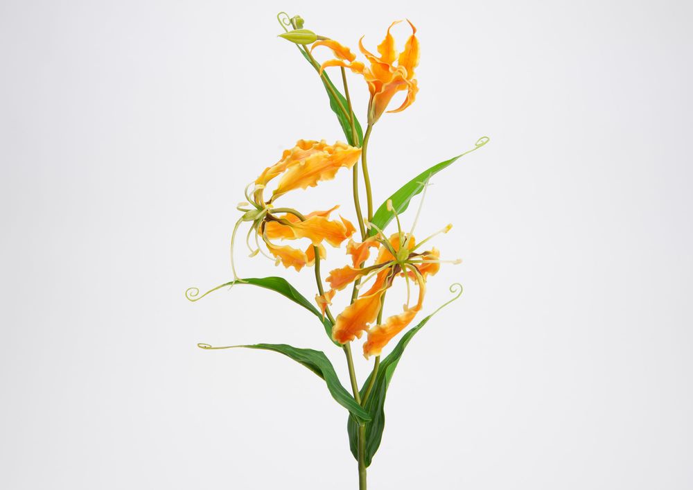Décorations florales - Gloriosa Lily - LOU DE CASTELLANE - Fleurs artificielles plus vraies que nature - LOU DE CASTELLANE