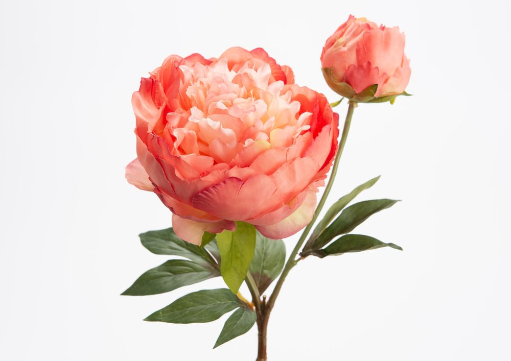 Décorations florales - Pivoine fashion - LOU DE CASTELLANE - Fleurs artificielles plus vraies que nature - LOU DE CASTELLANE