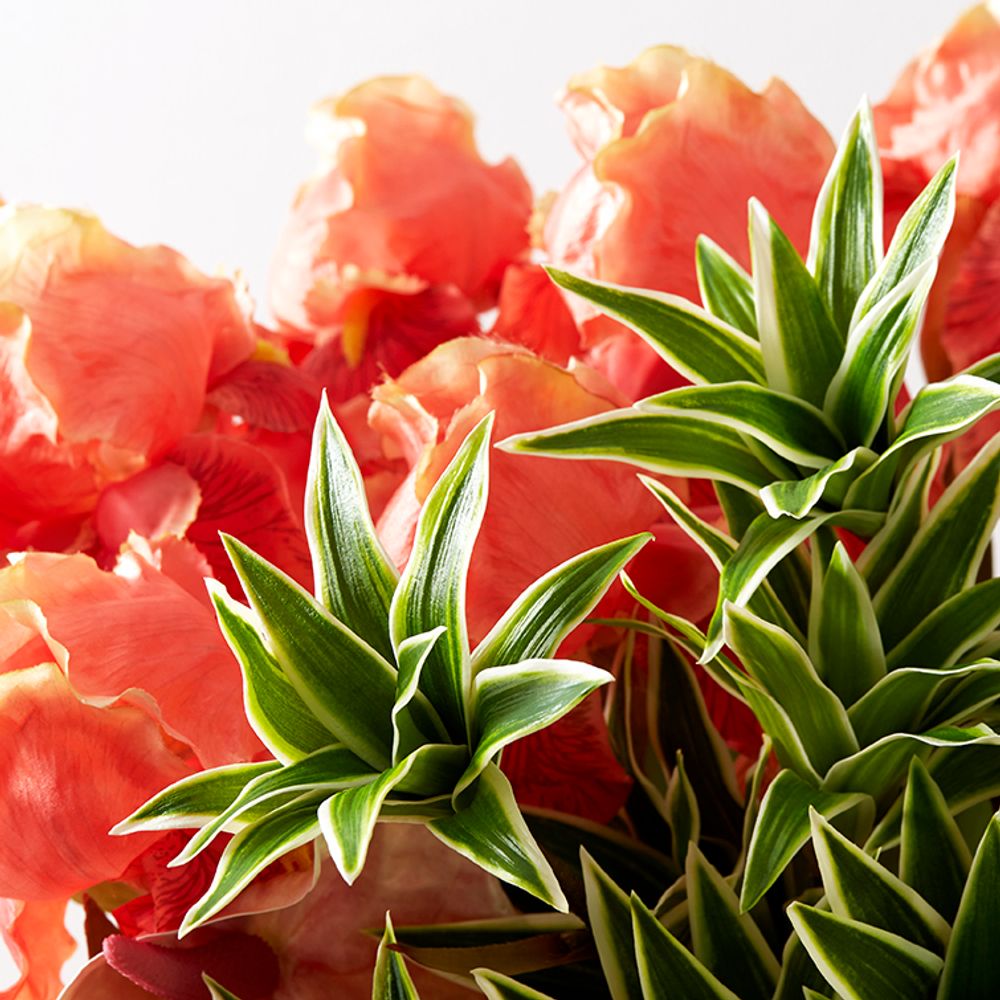 Floral decoration - Branch mini dracaena - LOU DE CASTELLANE - Artificial flowers more true than nature - LOU DE CASTELLANE