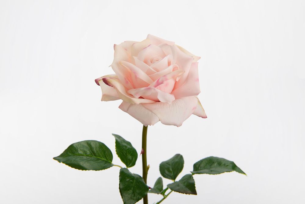 Floral decoration - Rose lady reality - LOU DE CASTELLANE - Artificial flowers more true than nature  - LOU DE CASTELLANE