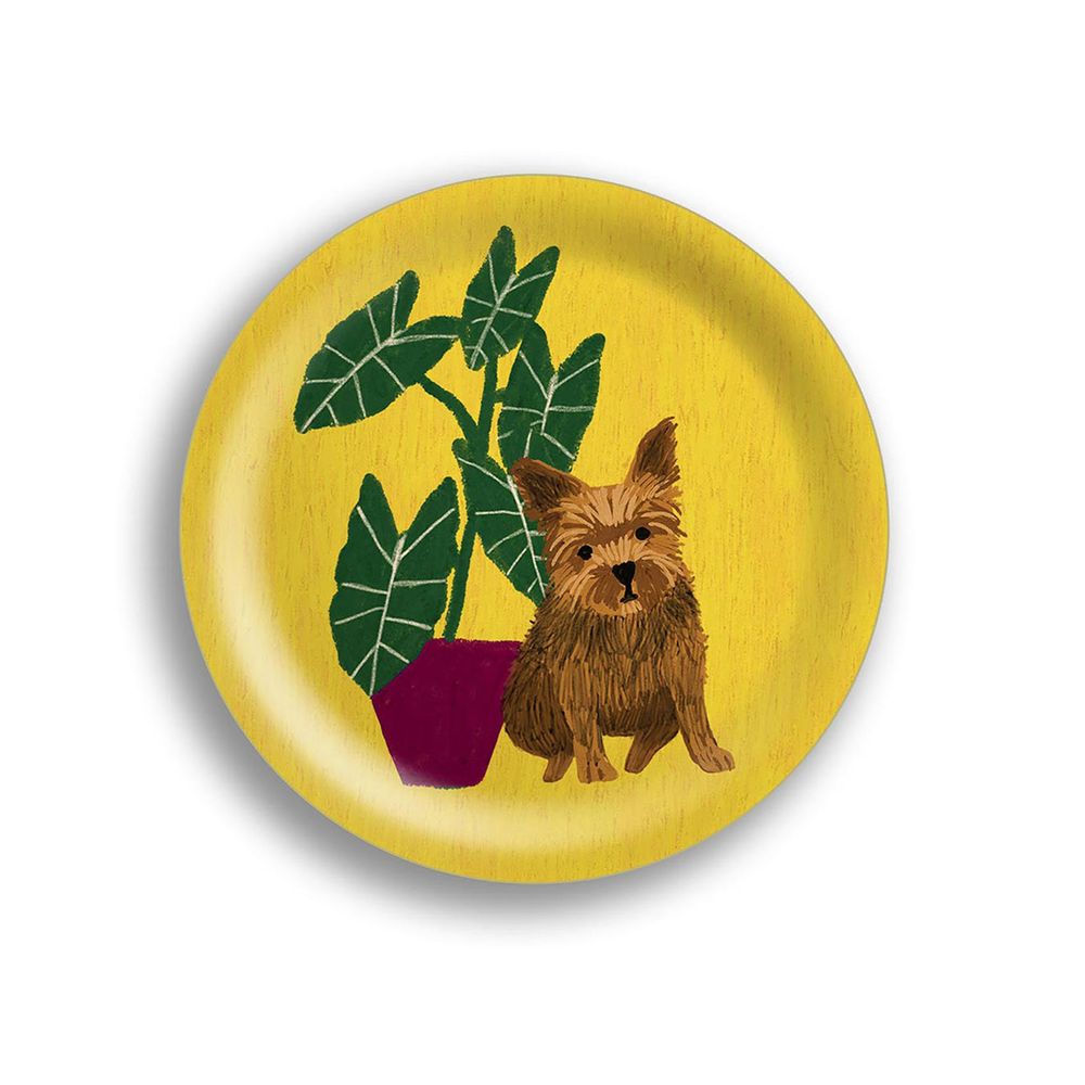 Plateaux - Chats et Chiens - Mini plateaux - AVENIDA HOME