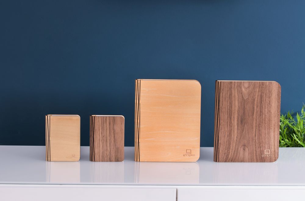 Autres objets connectés  - Smart Book Light - Bois Naturel - GINGKO