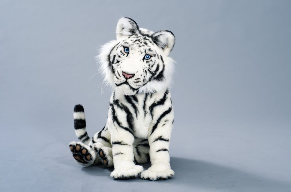 Sculptures, statuettes and miniatures - White Tiger cub - KATERINA MAKOGON