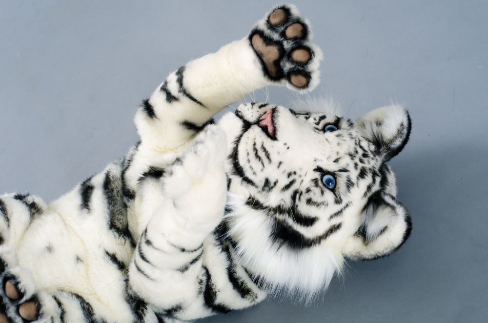 Sculptures, statuettes and miniatures - White Tiger cub - KATERINA MAKOGON