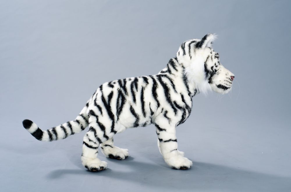 Sculptures, statuettes and miniatures - White Tiger cub - KATERINA MAKOGON