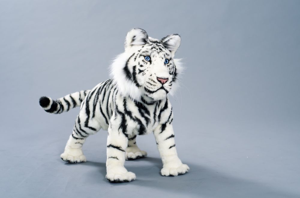 Sculptures, statuettes and miniatures - White Tiger cub - KATERINA MAKOGON