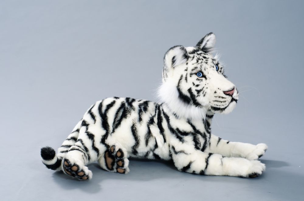 Sculptures, statuettes and miniatures - White Tiger cub - KATERINA MAKOGON