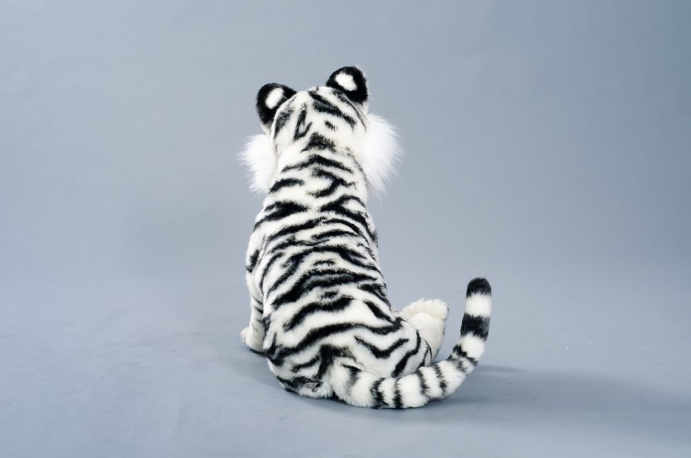 Sculptures, statuettes and miniatures - White Tiger cub - KATERINA MAKOGON