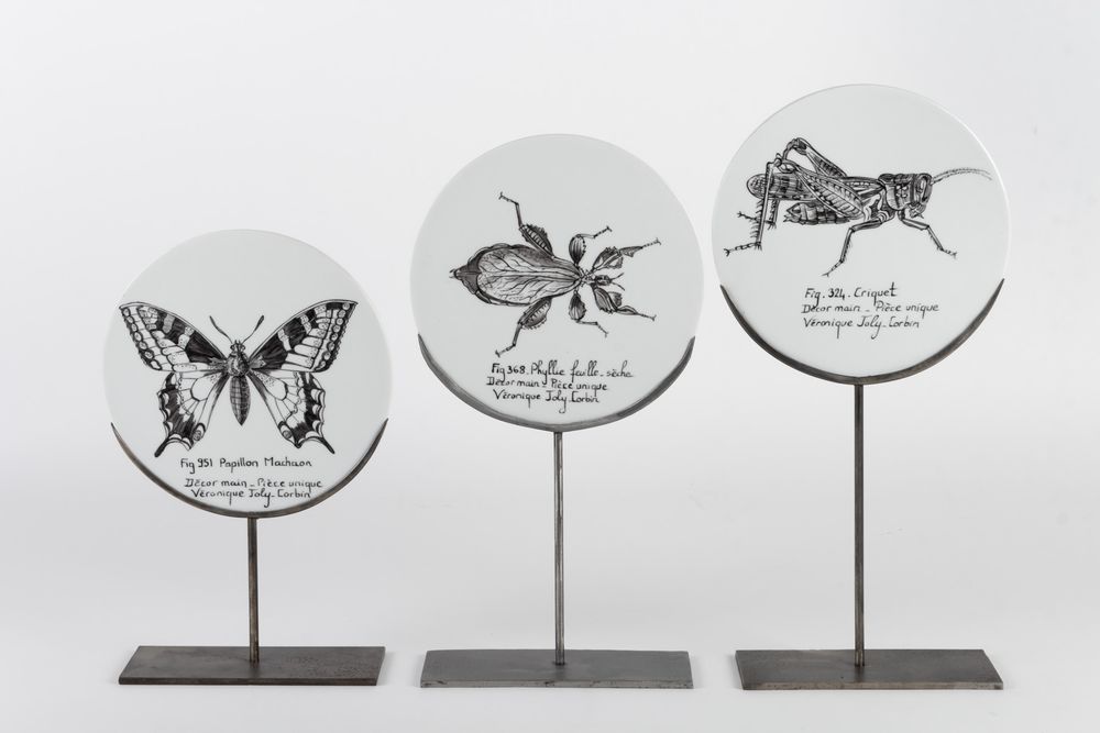 Pièces uniques - Disque de Curiosité INSECTES - VERONIQUE JOLY-CORBIN