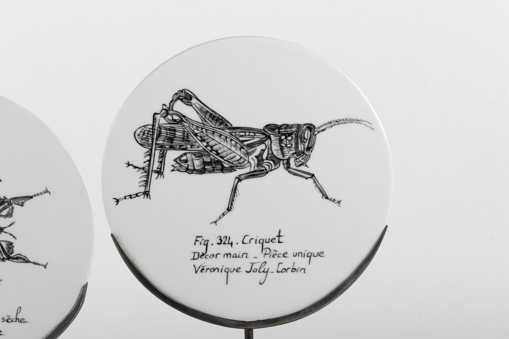 Pièces uniques - Disque de Curiosité INSECTES - VERONIQUE JOLY-CORBIN