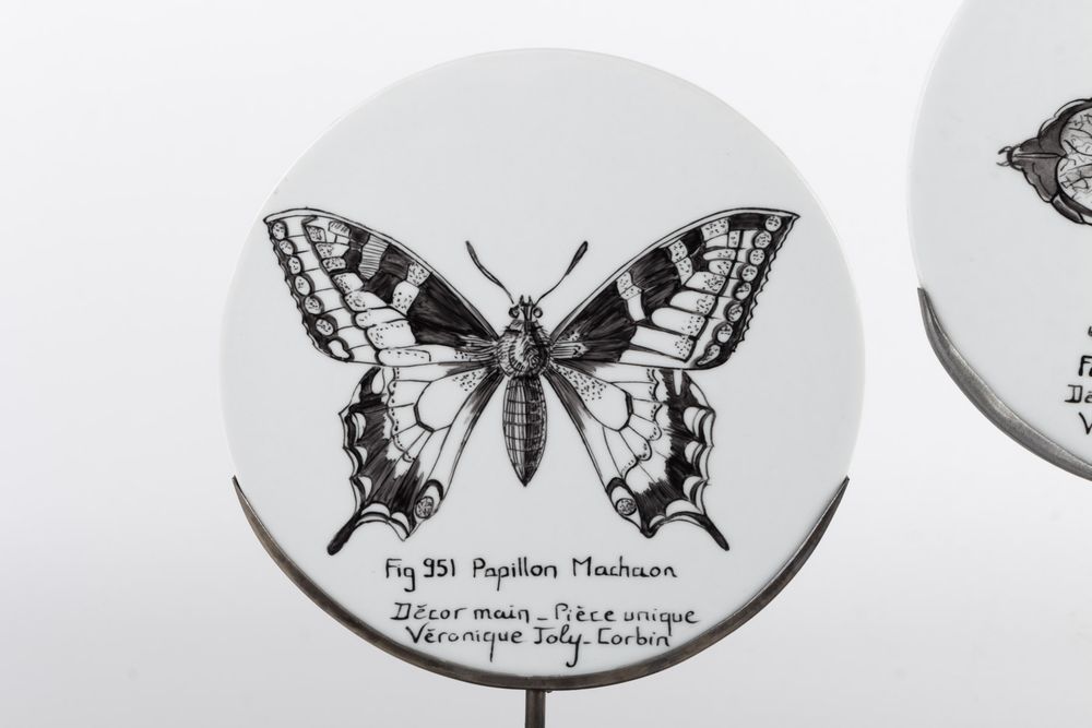 Pièces uniques - Disque de Curiosité INSECTES - VERONIQUE JOLY-CORBIN