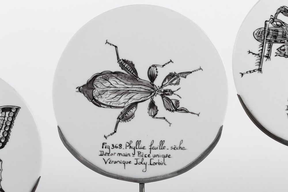 Pièces uniques - Disque de Curiosité INSECTES - VERONIQUE JOLY-CORBIN