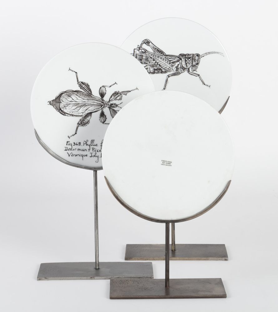 Pièces uniques - Disque de Curiosité INSECTES - VERONIQUE JOLY-CORBIN
