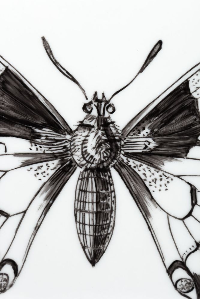 Pièces uniques - Disque de Curiosité INSECTES - VERONIQUE JOLY-CORBIN