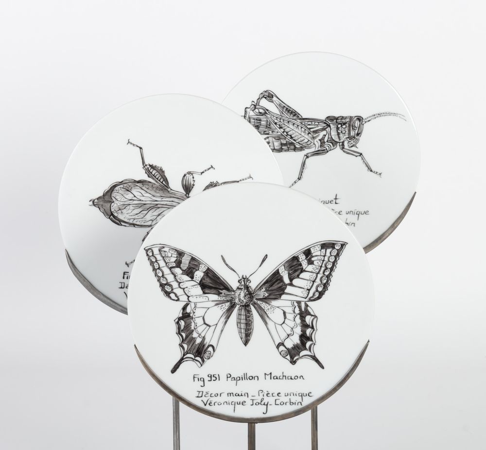 Pièces uniques - Disque de Curiosité INSECTES - VERONIQUE JOLY-CORBIN