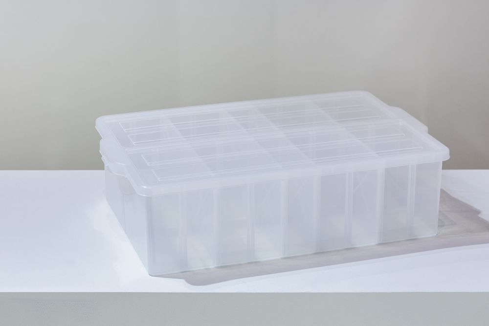 Organizer - Craft & Media Organizer Box with dividers - PEARL LIFE