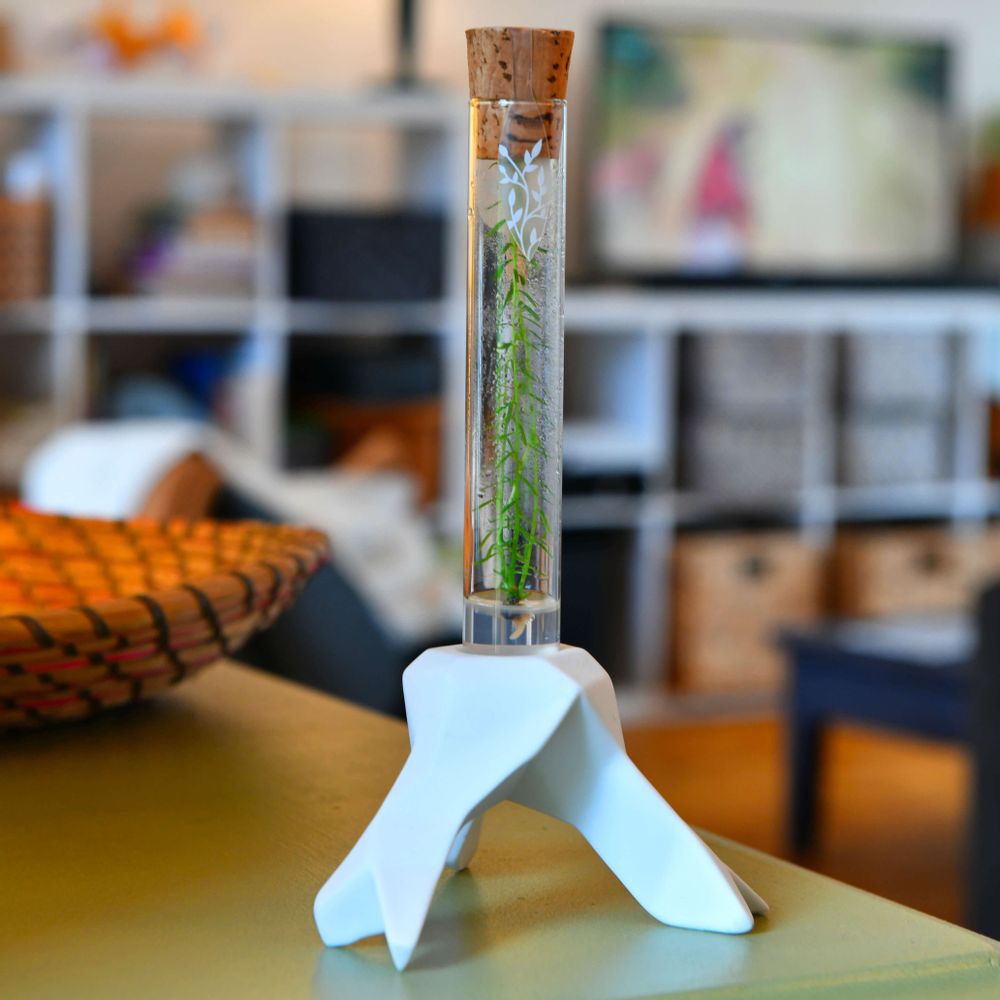 Céramique - Plantaphore Séquoïa tripode porcelaine - InPlanta - INPLANTA