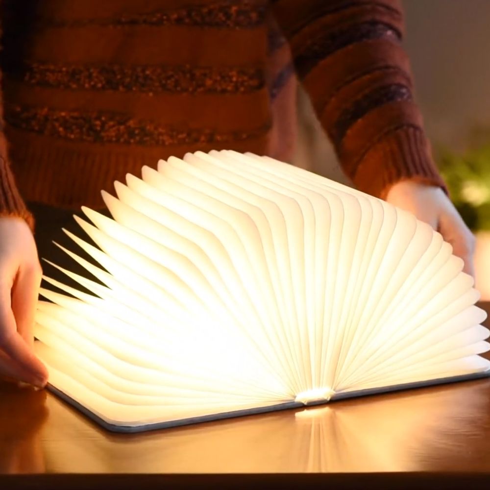 Other smart objects - Smart Booklight - Fibre Leather - GINGKO